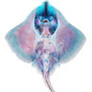 Meet your Posher, Alana